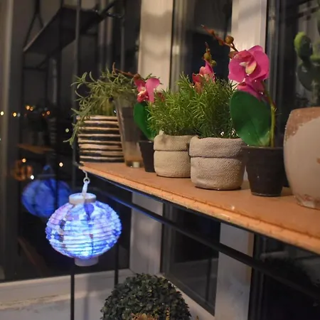 Lägenhet 23 Belgrad